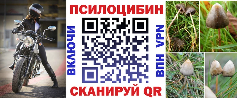 наркота  Можга  Псилоцибиновые грибы прущие грибы 