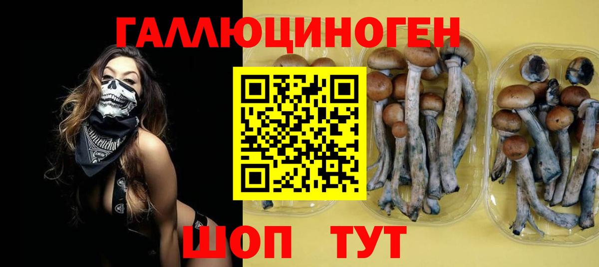 Галлюциногенные грибы MAGIC MUSHROOMS  Можга  Псилоцибиновые грибы MAGIC MUSHROOMS 